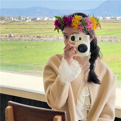 不死鸟之恋