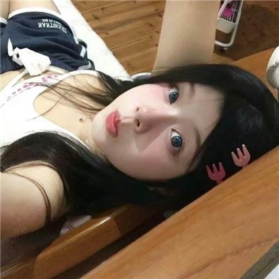 飞蛾日记
